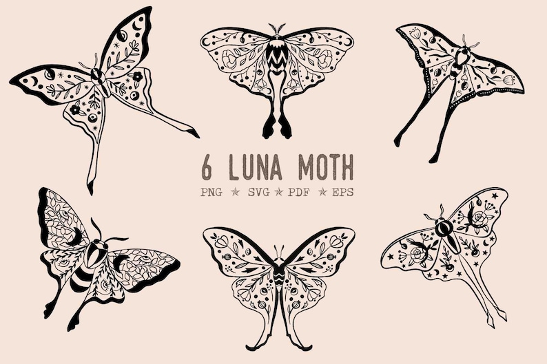 Floral luna moth svg png