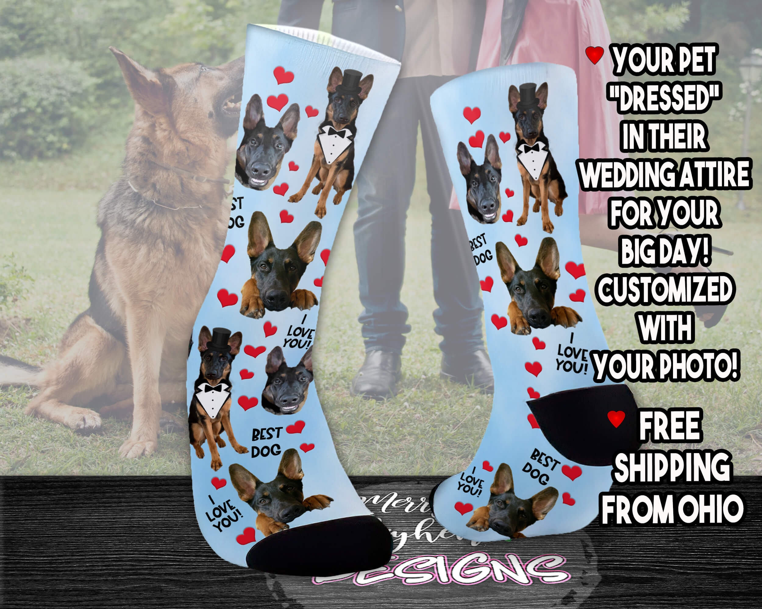 Do Dogs Like To Wear Socks