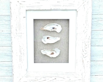 Oyster shell box frame wall art