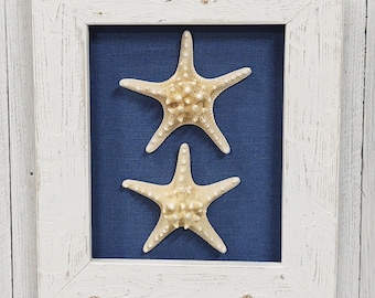 2 Extra large bumpy starfish with upholstered back box frame