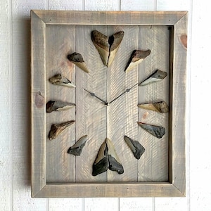 Può includere: Un orologio in legno con una finitura colorata di grigio presenta un design unico che utilizza denti di squalo fossilizzati come numeri dell'orologio. L'orologio ha lancette nere e un centro dorato.