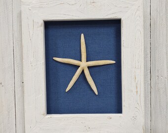 Extra large natural star fish with upholstered back box frame