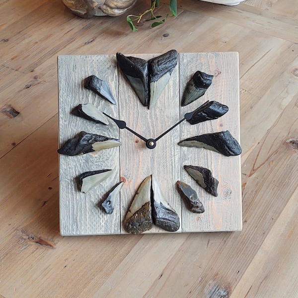 Megalodon shark tooth wall clock.