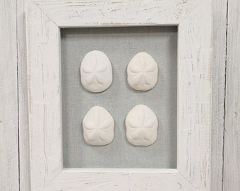 Four large seabiscuits with upholstered back box frame