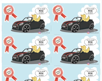 Mini cartões de pato em 17 cores - prontos para baixar e imprimir! NOVO!