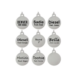 Double Sided Laser Etched Stainless Steel Pet ID Tag for Dog & Cat Tag Free Engraved and Personalized 1 Round Shape image 6