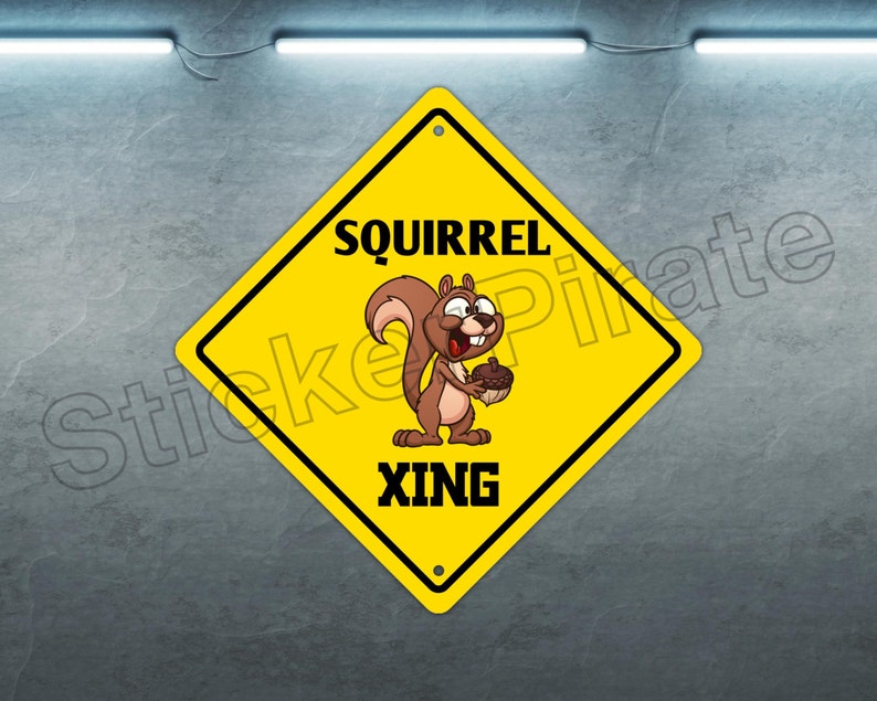 Squirrel Crossing 12 X 12 Aluminum Novelty Sign - Etsy