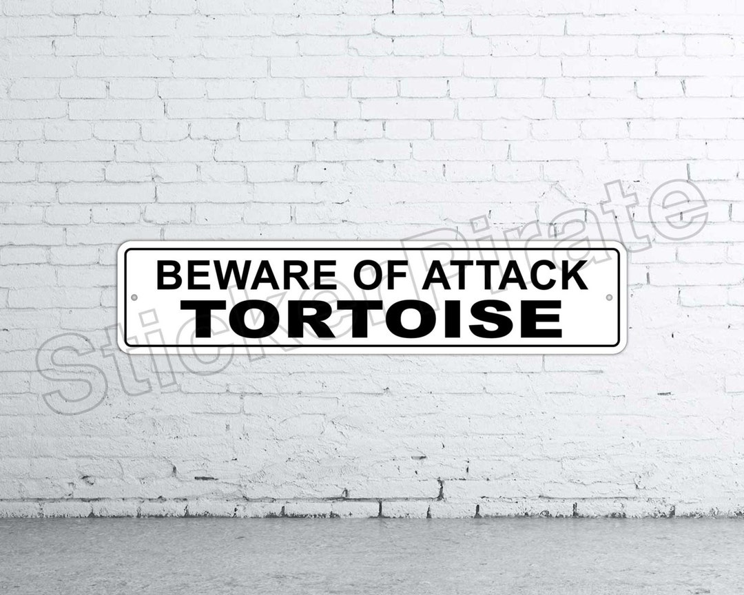 Beware of Attack Tortoise 4