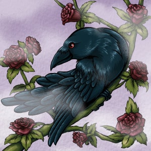 Raven with Rose IV