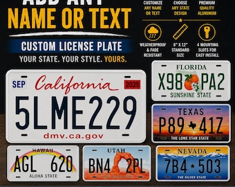 Custom State License Plate Personalized Novelty Car Tag Any Name Text Aluminum Auto Plate Choose Any State