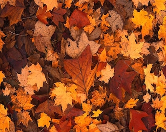 Embossi printboard - autumn leaves background pattern design #0040 - 12"x20" 1/8" mdf for glowforge / laser cutting crafts