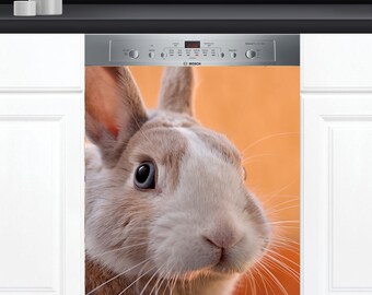 Dishwasher Cover Choose Magnet Or Vinyl Decal Sticker, Easter Bunny Design D0179- choose your type from the menu.