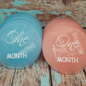 Frosted Acrylic Birth Milestone Discs | Baby Monthly Milestone Markers Announcement | 12 Month Set | Soft Pink and Blue choose color in menu
