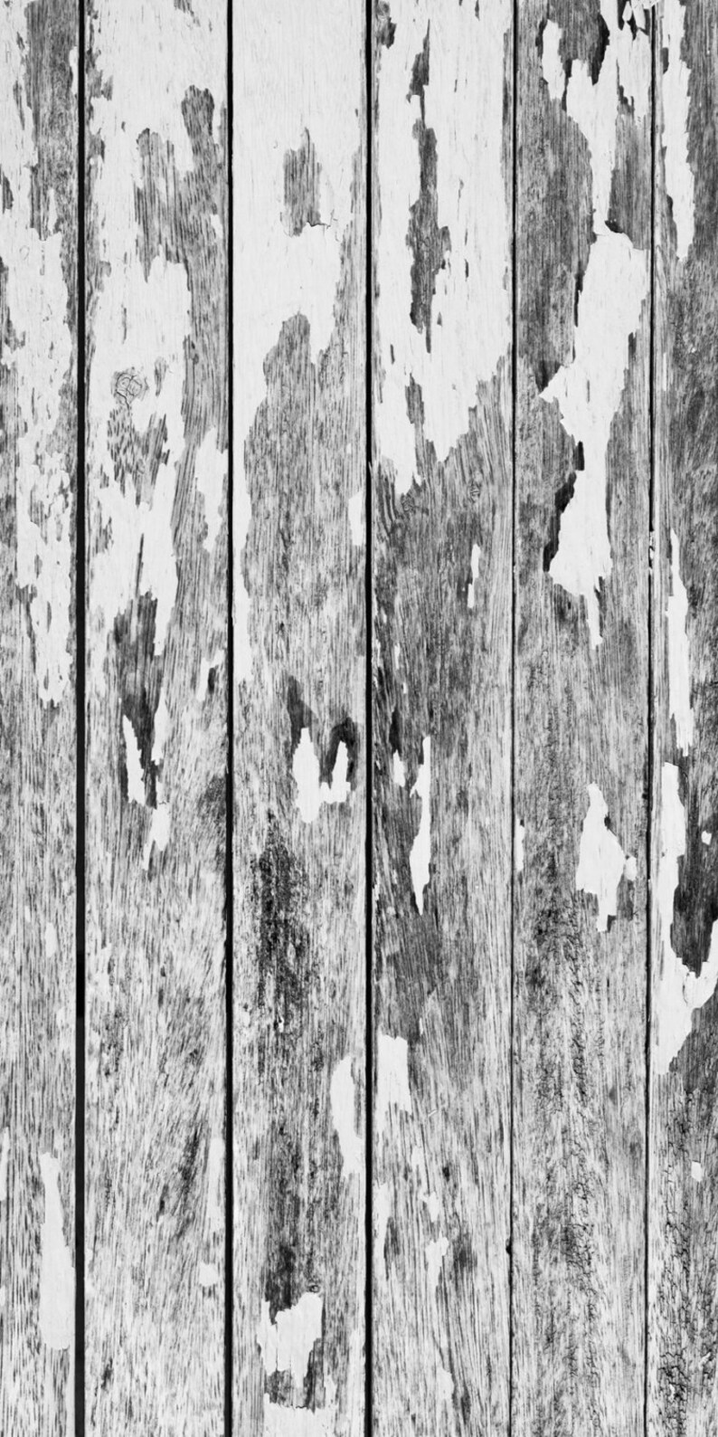 3ft X 6ft Paper Backdrop / Custom Photo Prop White Wood Color Etsy