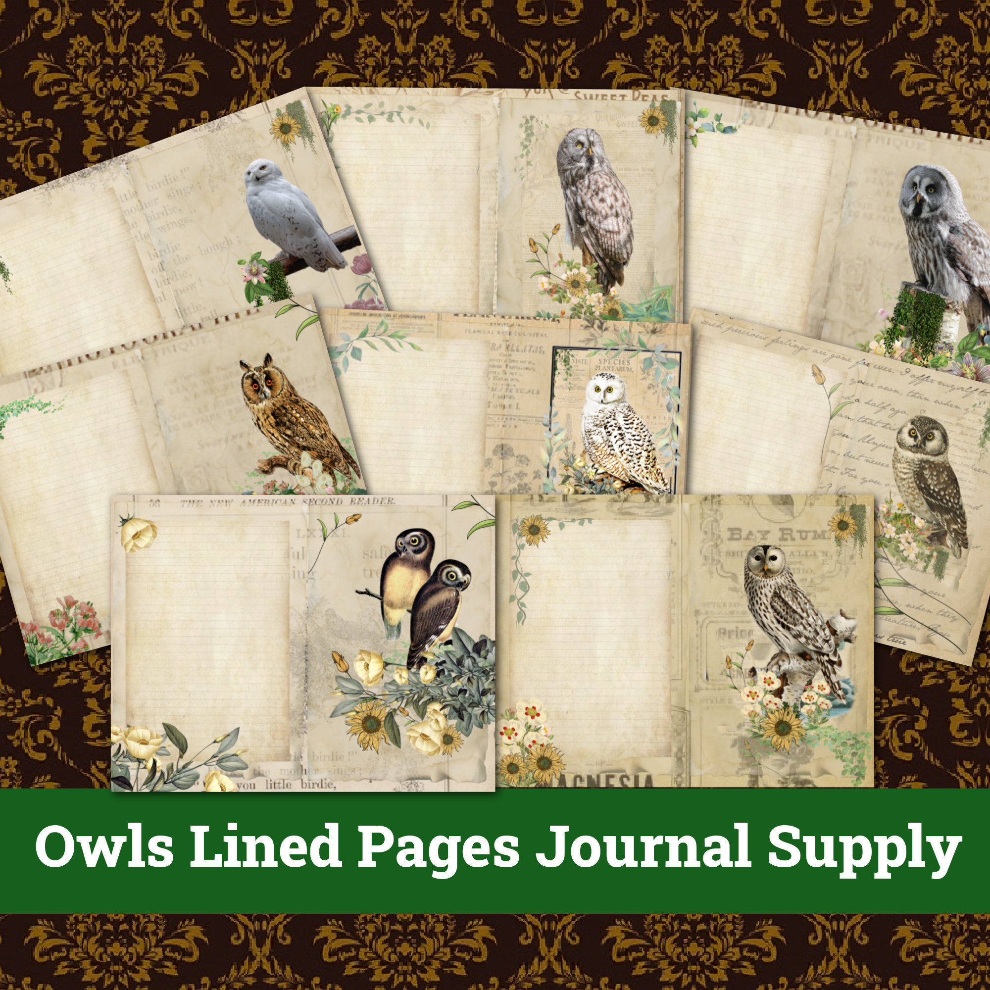 Printable Lined Pages Owl Journal Junk Nature Wildlife Botanical Kit Vintage Owls Ephemera Collage P