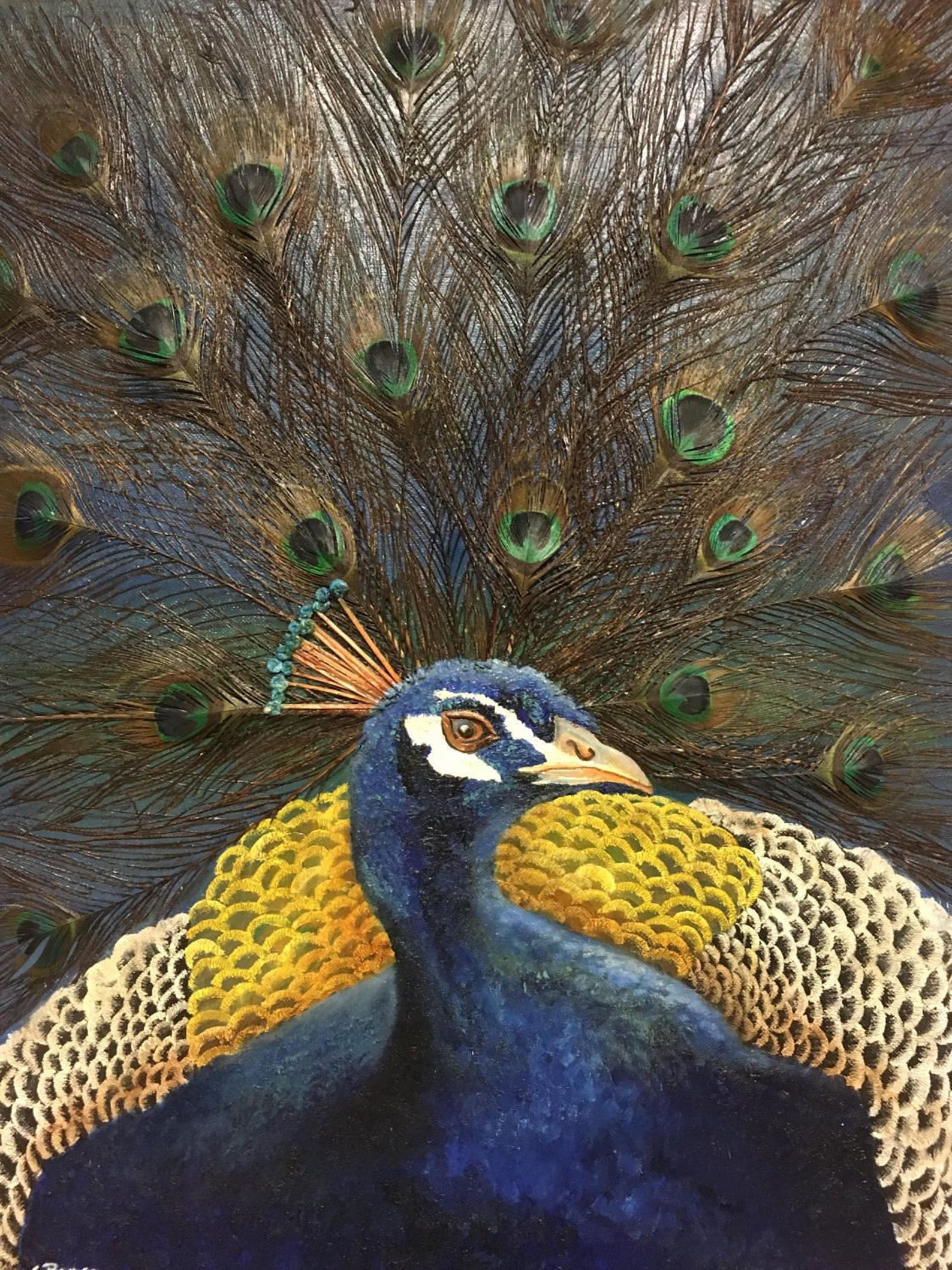 The Majestic Peacock Bird.mixed Media Collage Art.real Etsy