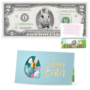 Der offizielle Osterhasen-Geldschein. Echte 2,0 USD. Jeder Geldschein kommt mit einer Osterkarte und Geldscheinhalter. Ostern Korb Stuffer/Füller