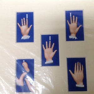 Palmistry 5 fingers Original 1933 5 set Cards VGC