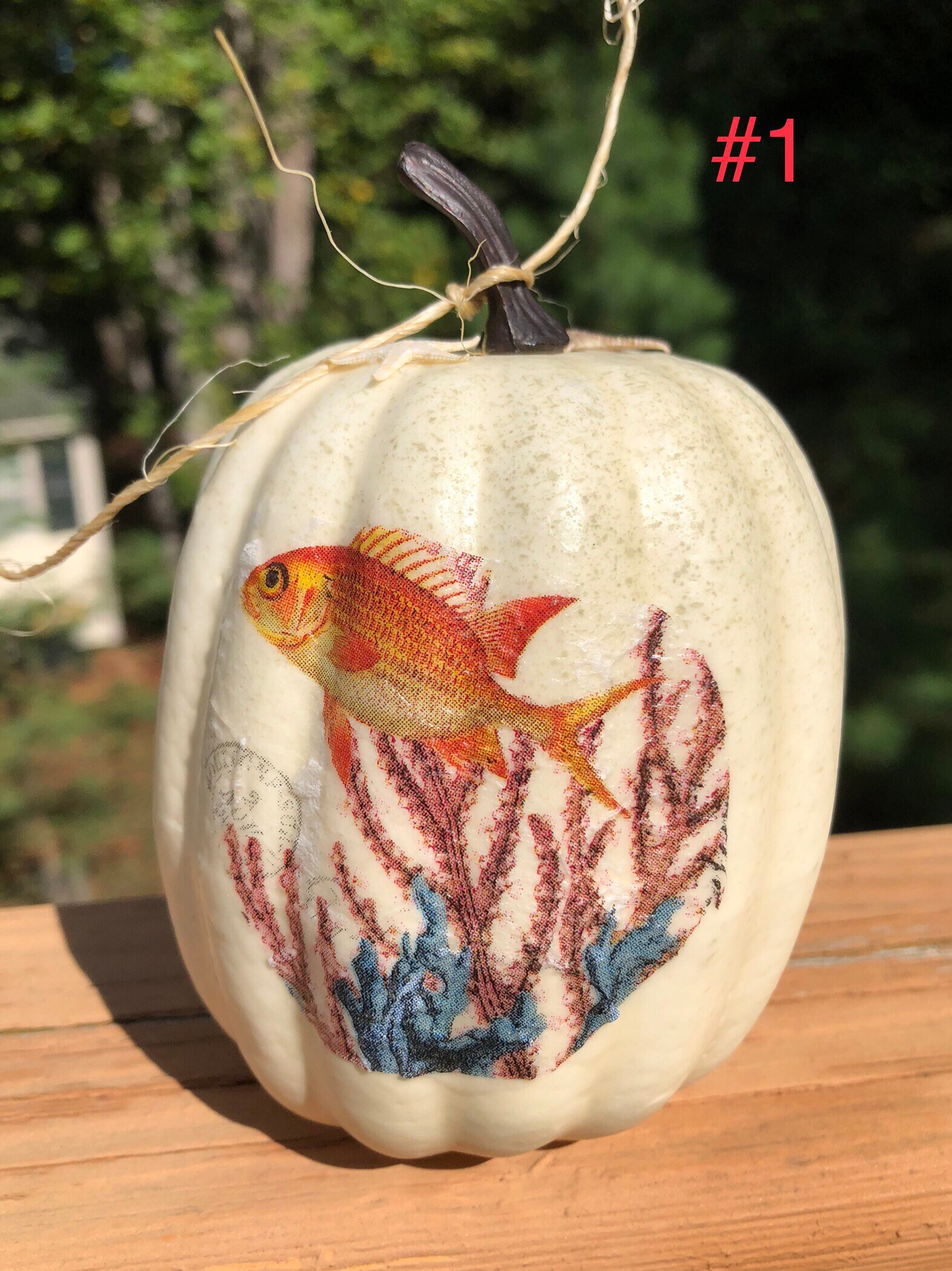 Mini Coastal Pumpkins Beach Decor Fall Coastal Farmhouse Cottage ...
