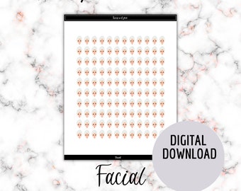 Digital Download | Facial Planner Stickers