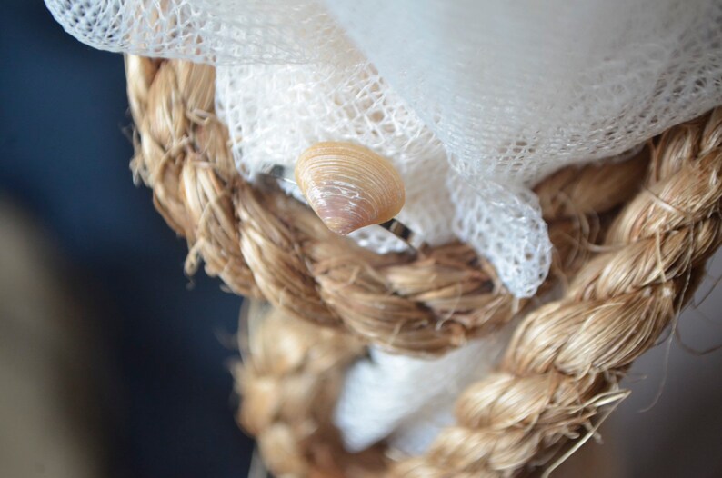 Shell ring