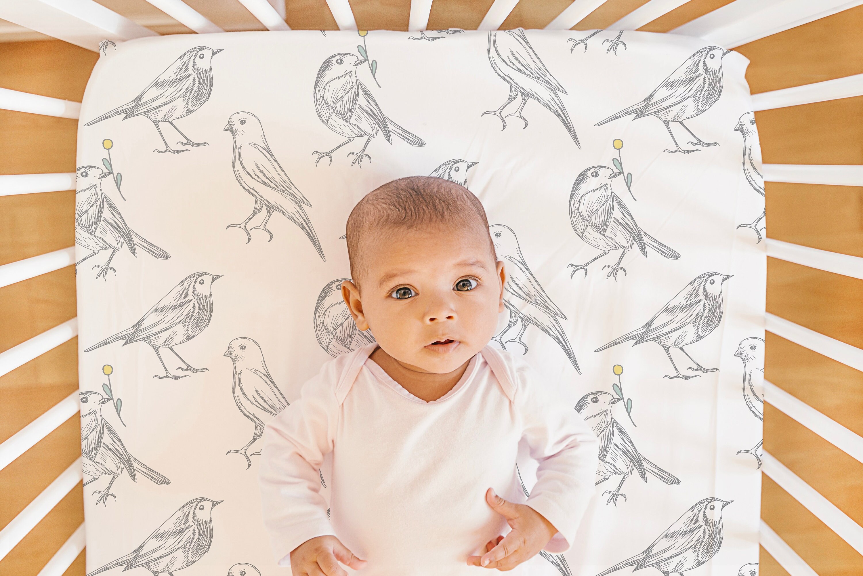 Baby Bird Crib Sheet Botanical Birds Crib Sheet Farmhouse Etsy