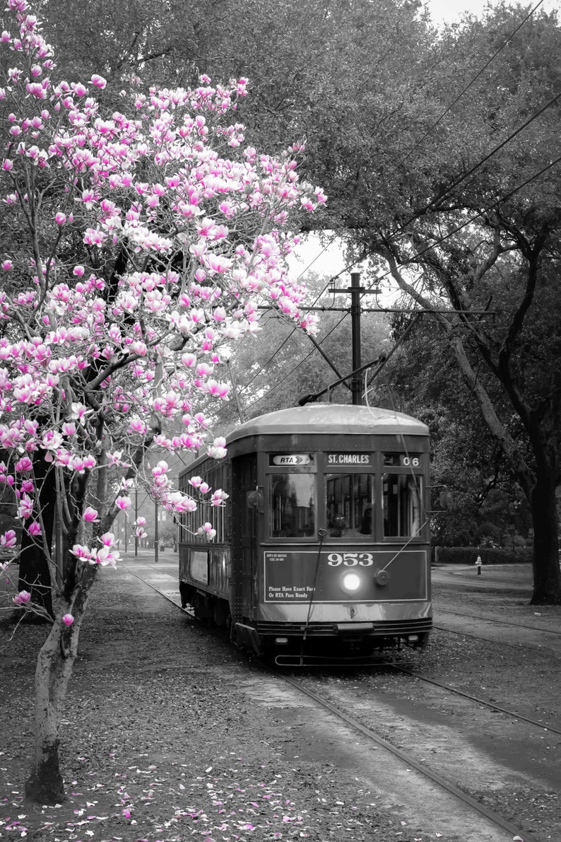 St. Charles Streetcar image 1