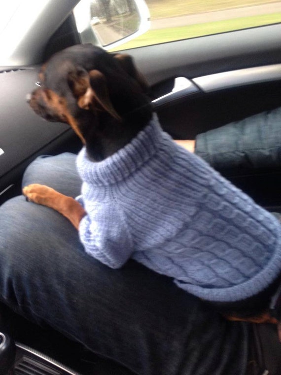 Handmade Knit Dog Sweater – Small Puppy Clothes