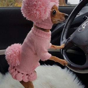 May include: A small dog wearing a pink knitted sweater and hat with pom-poms. The dog is sitting in a car and appears to be driving.