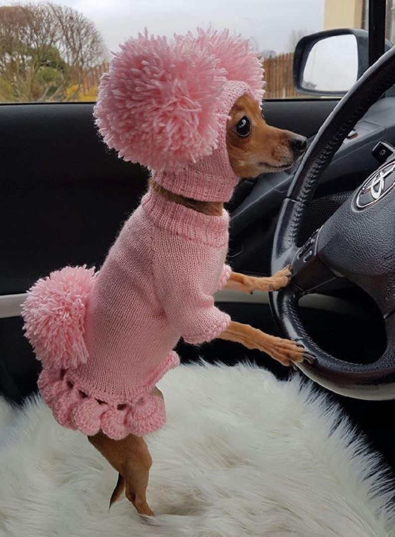 Hundepullover,Hundekleidung,Chihuahua-Kleidung,Hundekleidung mit Mütze,Pullover-Set mit Bommeln,Kleidung für Hund. Hundekostüm mit Pom Pom. Bild 8