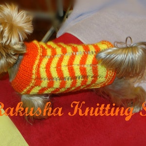 Clothing for yorkie. Dog sweater. Pets clothes. Pets clothing. Dog sweater