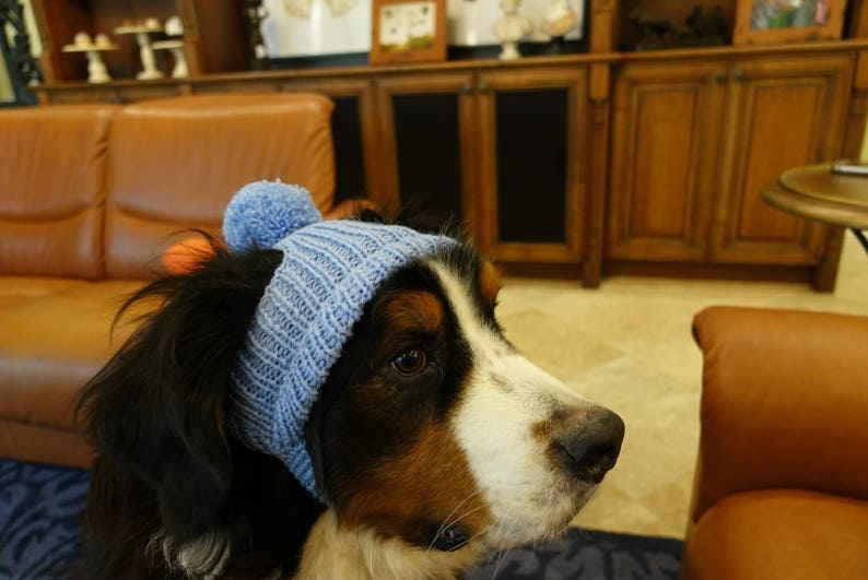 Dog hat.Pet hats.Hat for dog. Hats for pets. image 5