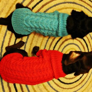 Op de afbeelding: Twee honden dragen gebreide truien. De ene hond draagt een blauwe trui en de andere een rode trui.