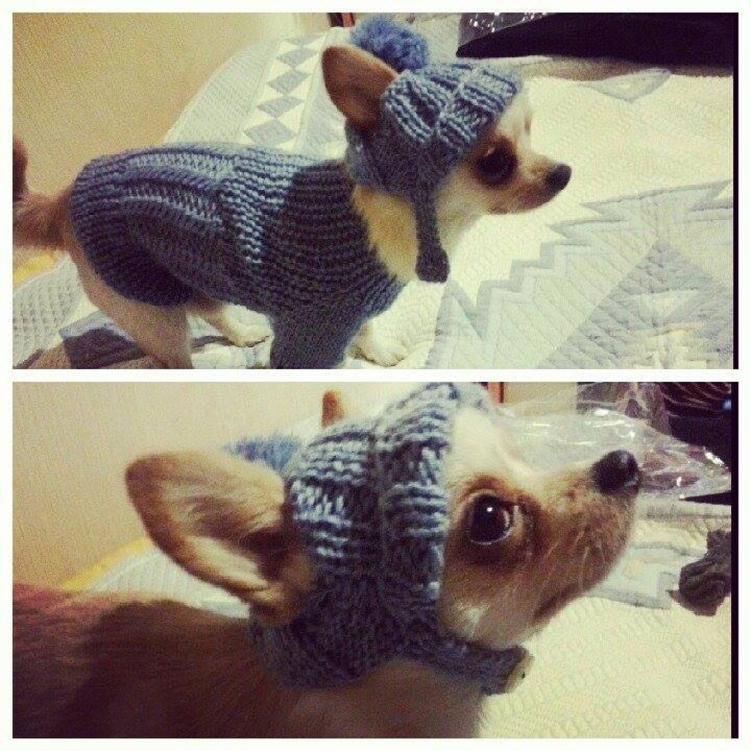 Dog Sweater, Sweater for Dog, XXXS-XL Dog Clothes,gift for Dog - Etsy