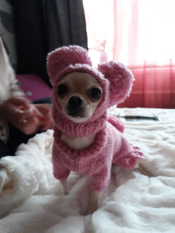 Dog Hat. Pink Dog Hat With Big Pom Poms.pet Hat - Etsy display picture 3