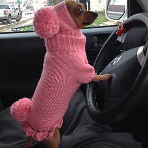 Rosa Hundemütze, rosa Hundemütze mit großen Pom Poms.Handgestrickt für modische Hunde