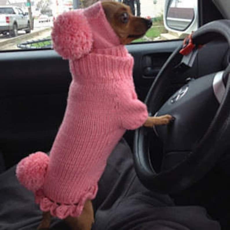 May include: A small dog wearing a pink knitted sweater with a hood and pom-poms. The sweater has a ruffled hem and the dog is sitting in the driver's seat of a car.