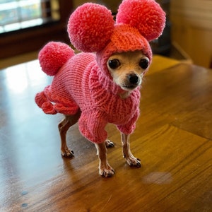 May include: A small, tan chihuahua wearing a pink knitted sweater with pom-poms on the hood. The sweater has a Mickey Mouse ear design.