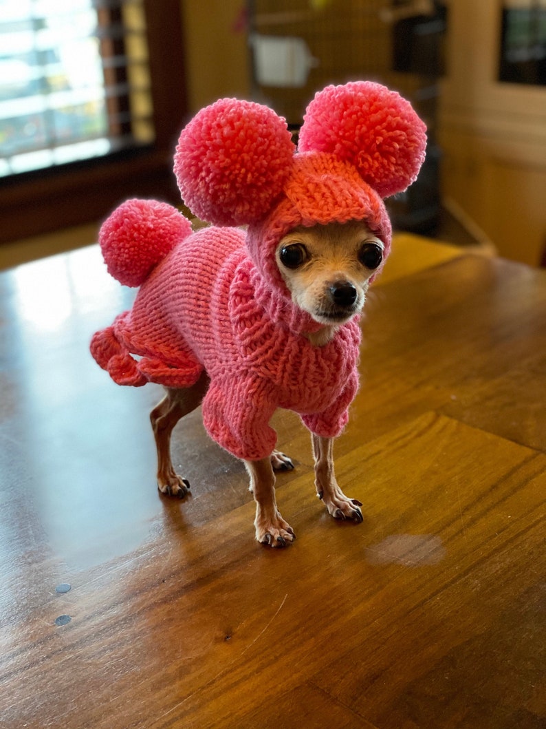 May include: A small, tan chihuahua wearing a pink knitted sweater with pom-poms on the hood. The sweater has a Mickey Mouse ear design.