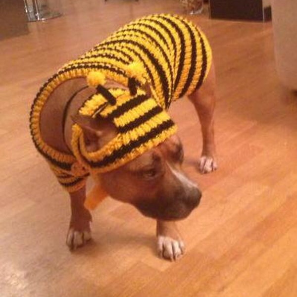 Pet costume,large dog sweater, Dog Sweater,Pet costume for dog, Dog Clothes. Dog hat. Dog sweater Bee