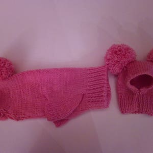 May include: A pink knitted dog sweater and hat set with pom-poms. The sweater has a hole for the dog's tail.