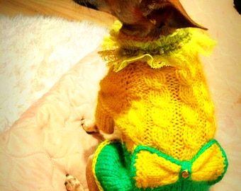 Dog clothes. Dog coats.Dog sweater. Dog coats. Dog dress