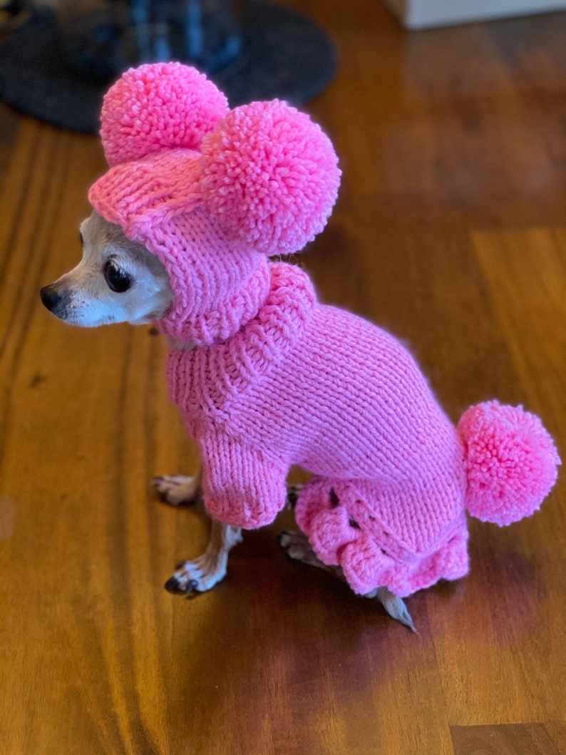 May include: A small, white dog wearing a pink knitted sweater with a matching hat and pom-poms. The sweater has a ruffled hem and the hat has two large pom-poms on top.