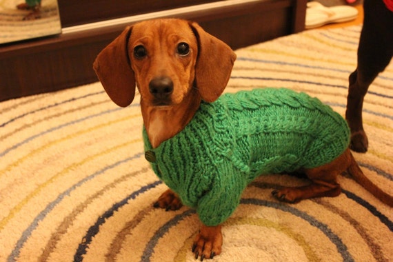 weiner dog clothes