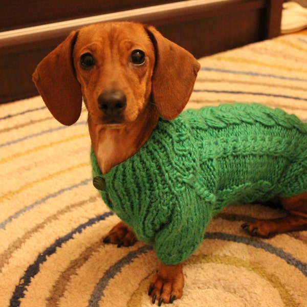 Miniature Dachshund Clothes Etsy