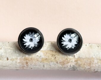 Delicados pendientes de margarita blanca (flor nativa australiana), fabricados en acero inoxidable, ideales para oídos sensibles.