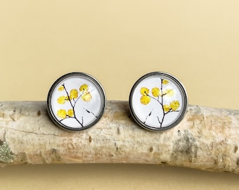 Pendientes de haya amarilla de hoja caduca: este impresionante árbol de fagus es exclusivo de la isla de Tasmania (Australia).