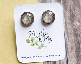 Pendientes de botón de wombat súper lindos: ¡un hermoso regalo de vida silvestre australiana!