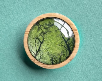 Gum Trees After Fire Nature Brooch With Bamboo - Handmade in Tasmania, Australia - Eco Friendly Jewellery
