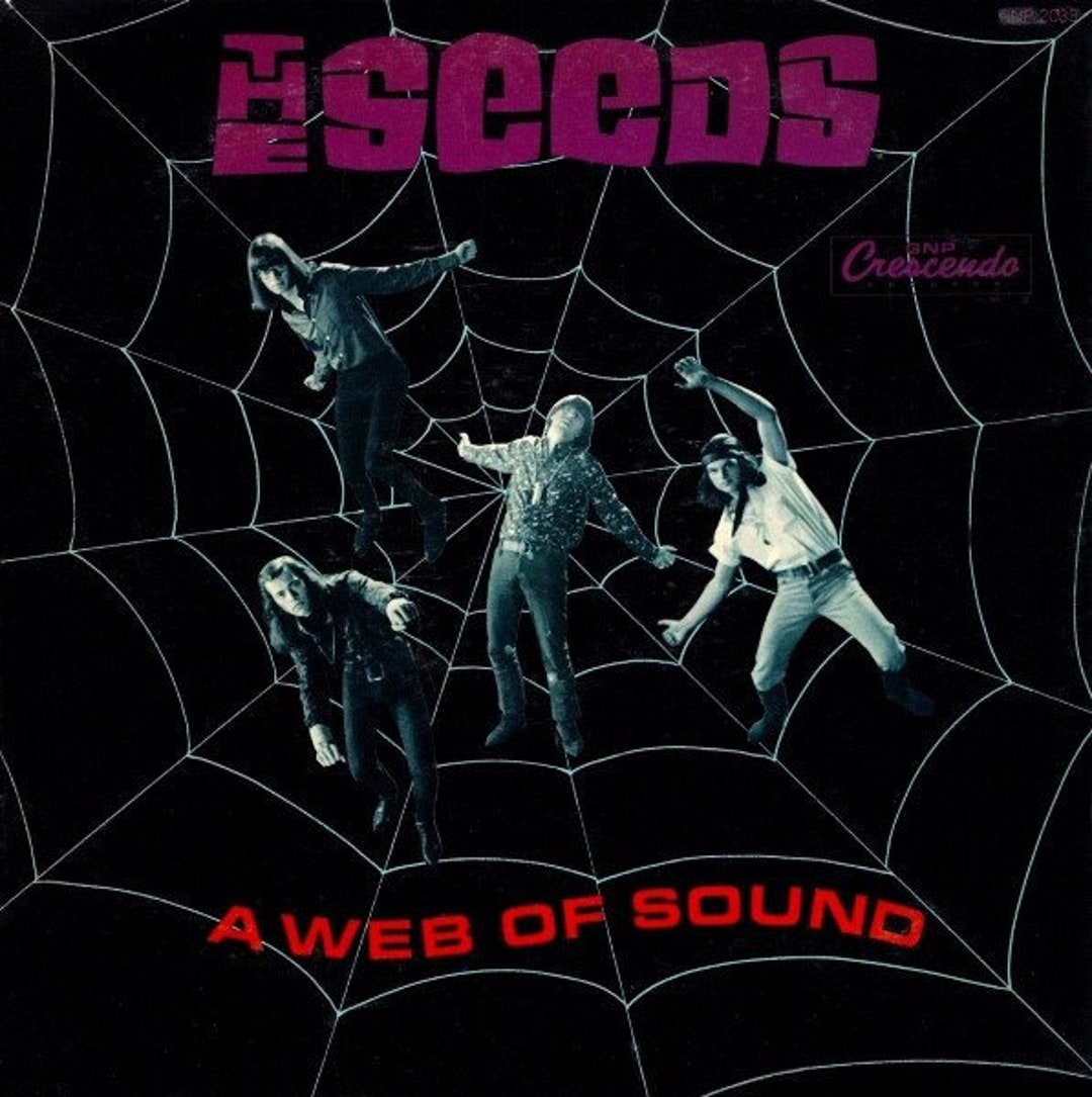 Vintage Vinyl the Seeds – A Web of Sound 60's Garage California ...